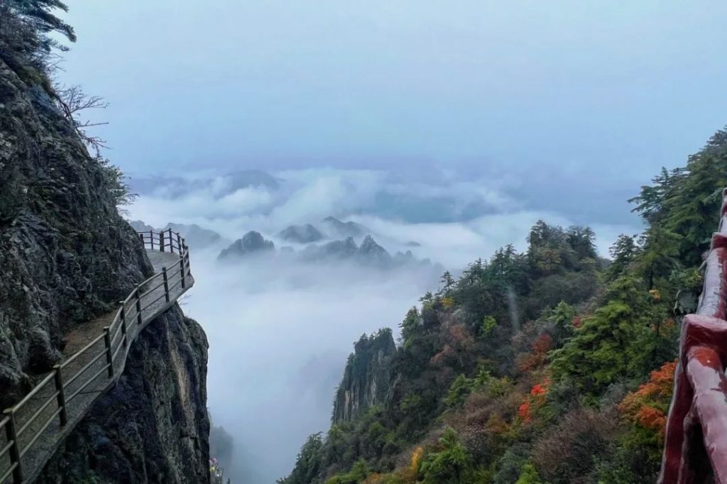老君山2022年入秋第一场雪丨红叶雪景云海惊艳你的眼