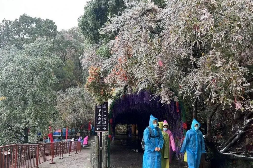 老君山2022年入秋第一场雪丨红叶雪景云海惊艳你的眼