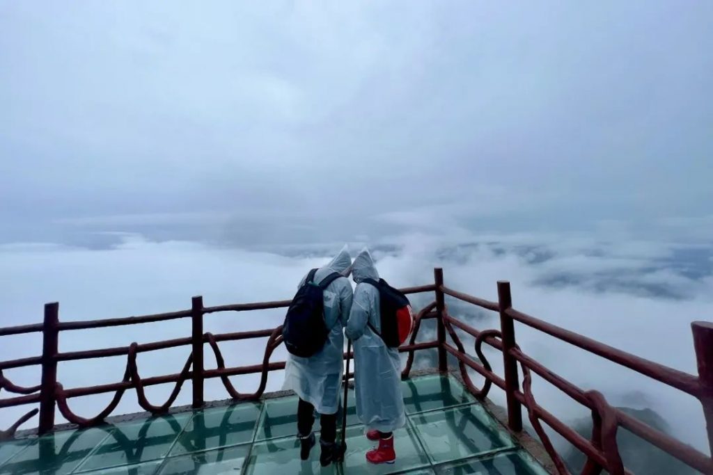 老君山2022年入秋第一场雪丨红叶雪景云海惊艳你的眼