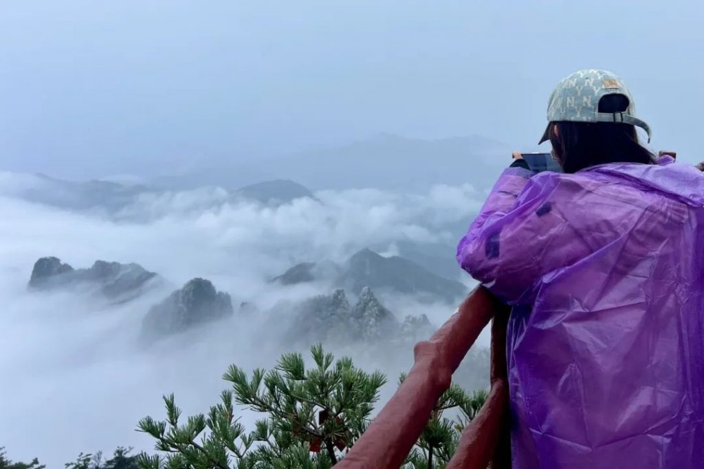 老君山2022年入秋第一场雪丨红叶雪景云海惊艳你的眼