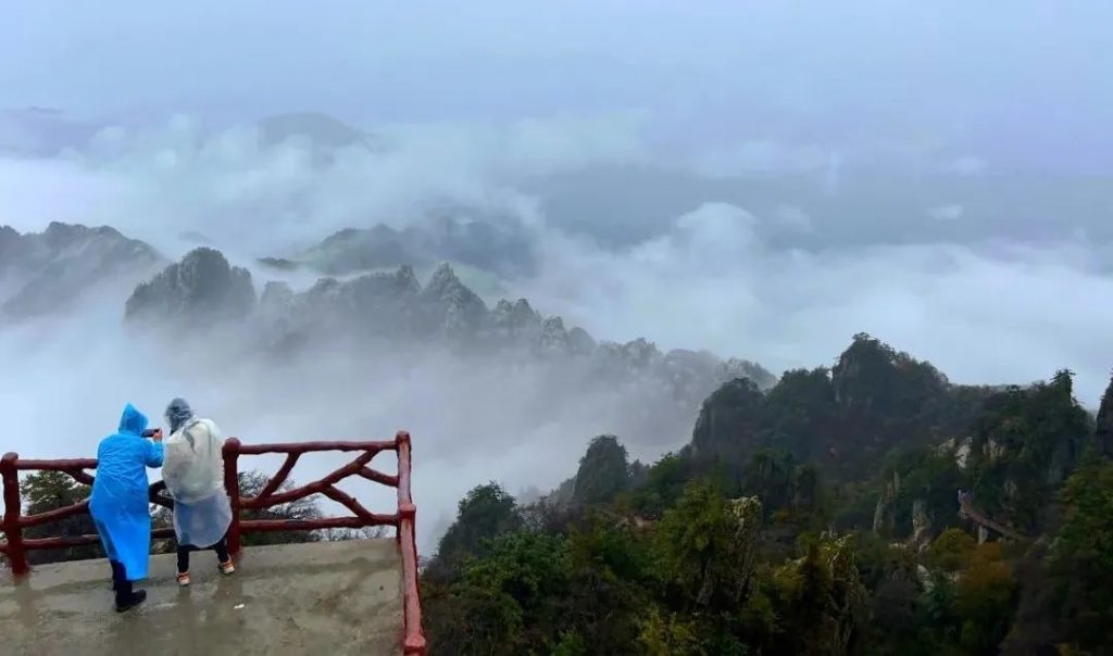 老君山2022年入秋第一场雪丨红叶雪景云海惊艳你的眼