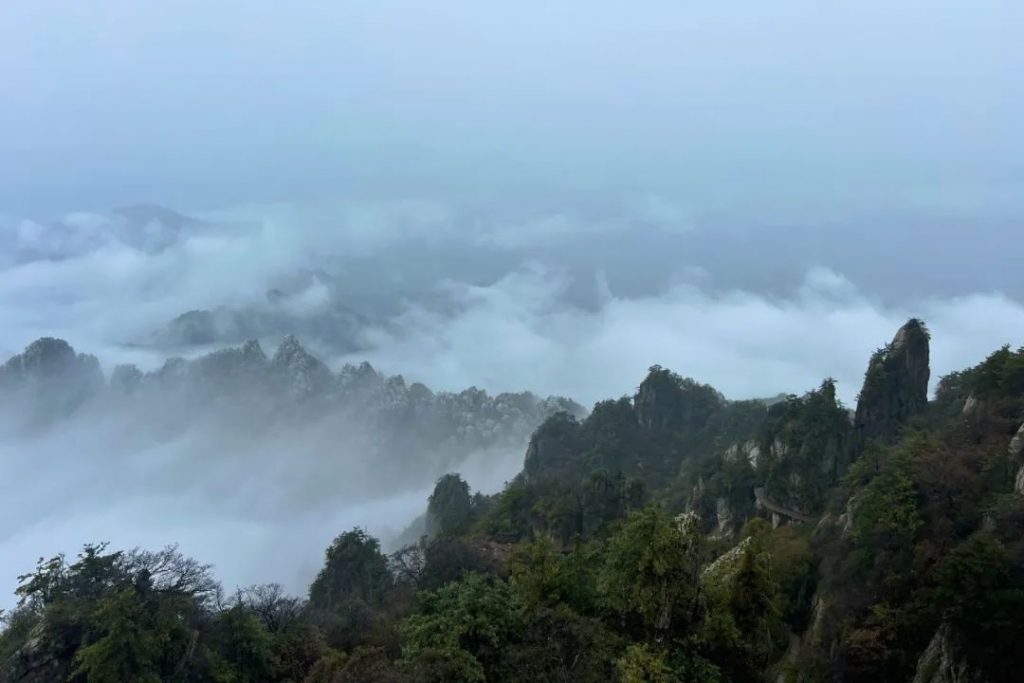 老君山2022年入秋第一场雪丨红叶雪景云海惊艳你的眼