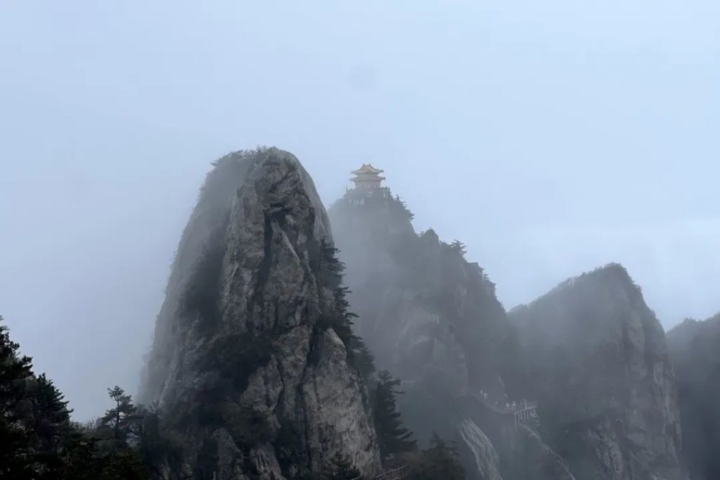 老君山2022年入秋第一场雪丨红叶雪景云海惊艳你的眼
