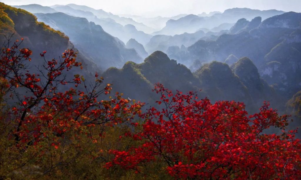 点击打开原图