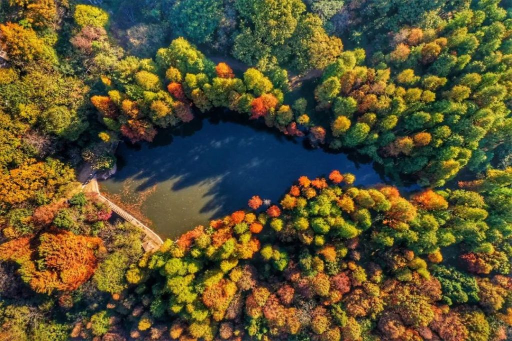 点击打开原图