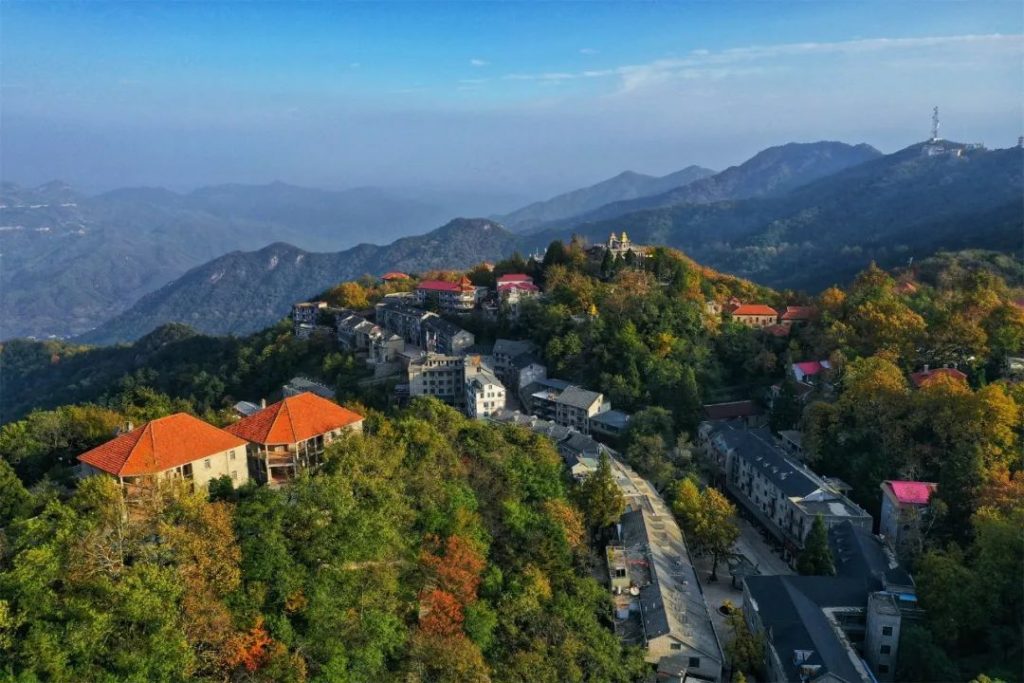 点击打开原图