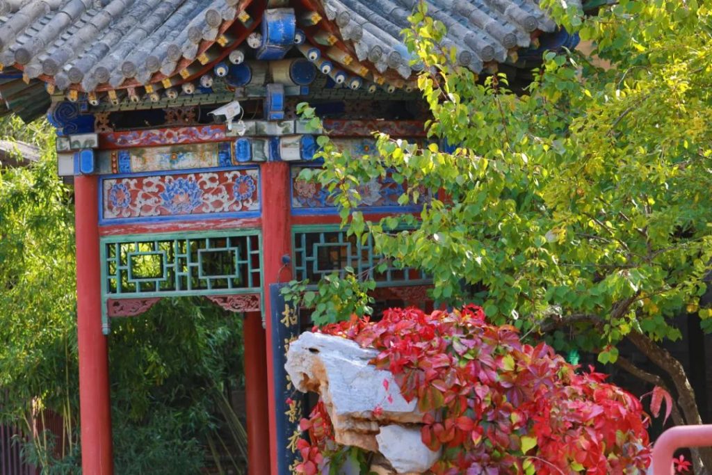 点击打开原图