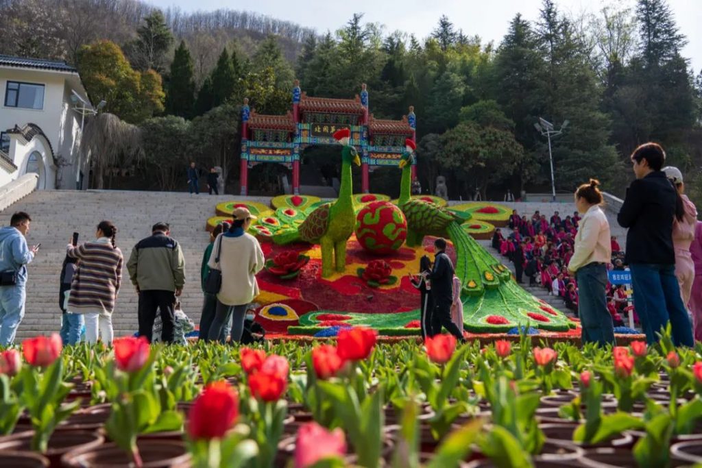 点击打开原图