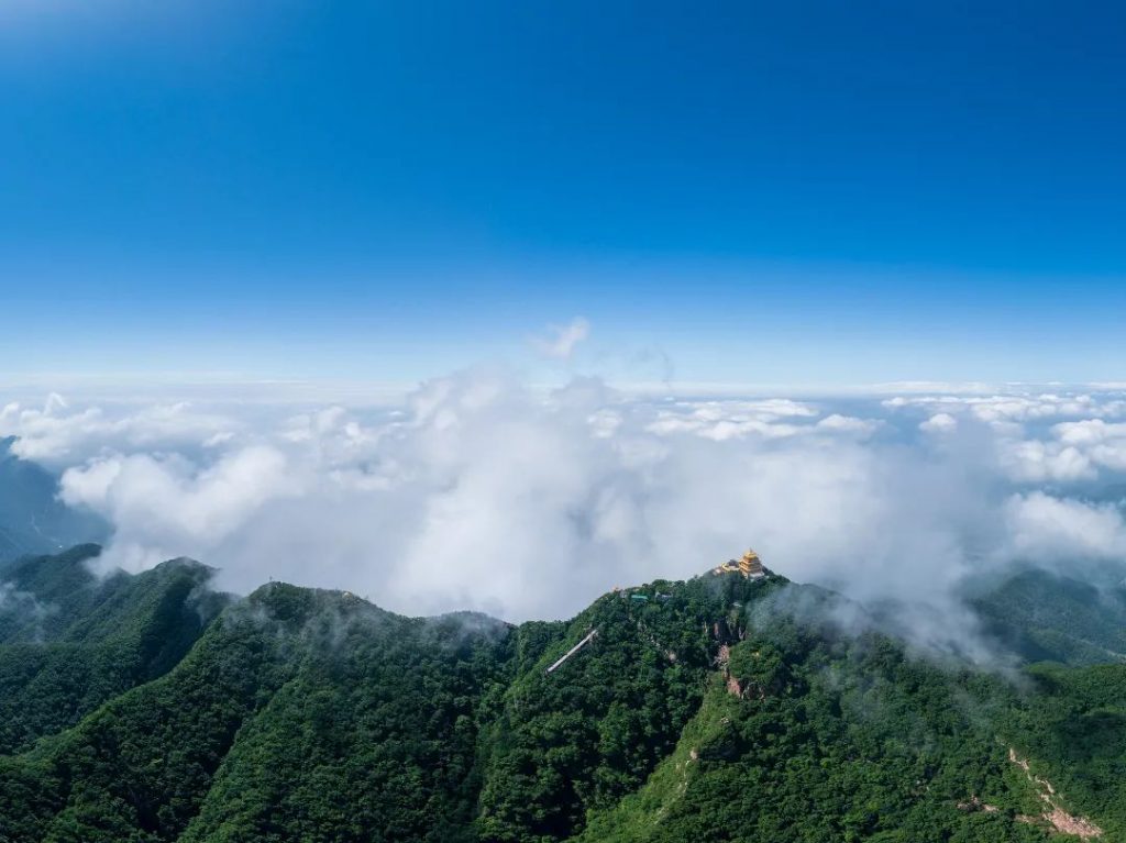 点击打开原图